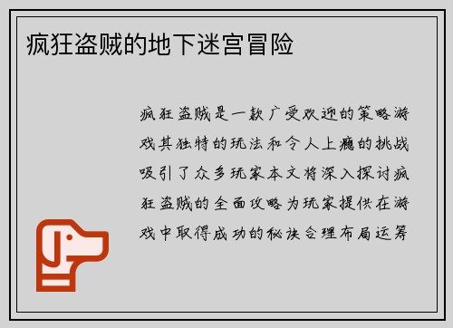 疯狂盗贼的地下迷宫冒险